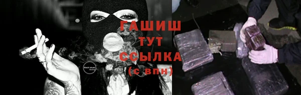 mdpv Бородино
